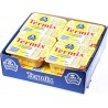 TERMIX VANILKA 90G